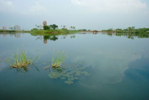 金河灣濕地公園